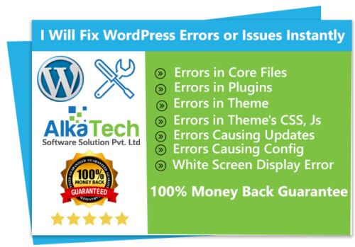 WordPress Errors or Issues Instantly